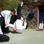 Aikido-Training-Demonstration