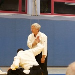 Ludo Peters, 4. Dan Tendoryu Aikido, in Aachen, Bild 47 von 47