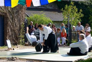 Aikido-Training-Demonstration