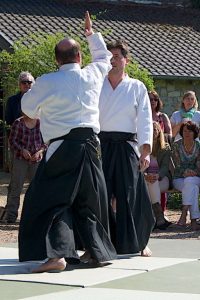 Aikido-Training-Demonstration