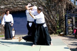 Aikido-Training-Demonstration