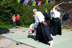 Aikido-Training-Demonstration